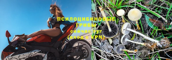 PSILOCYBIN Абинск
