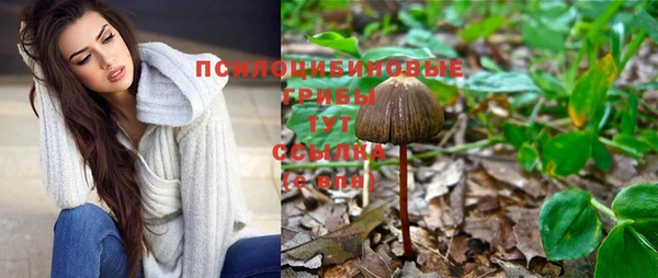 PSILOCYBIN Абинск