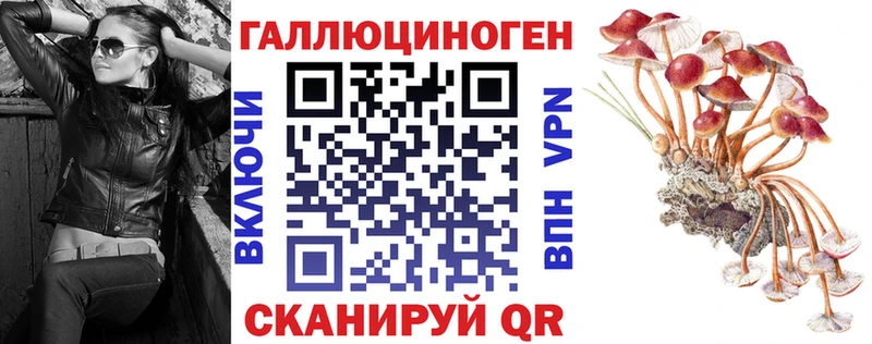 Галлюциногенные грибы Cubensis  дарнет шоп  Мосальск 